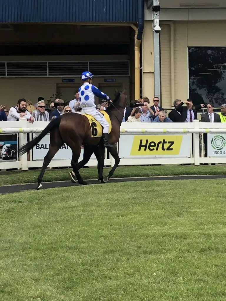 Spring Racing Carnival Melbourne – jockey in blue silks riding horse before the race